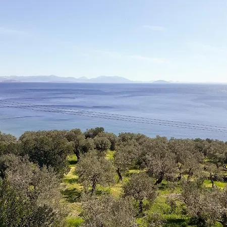 アパート Charming Amidst Olive Trees With Sea Views *